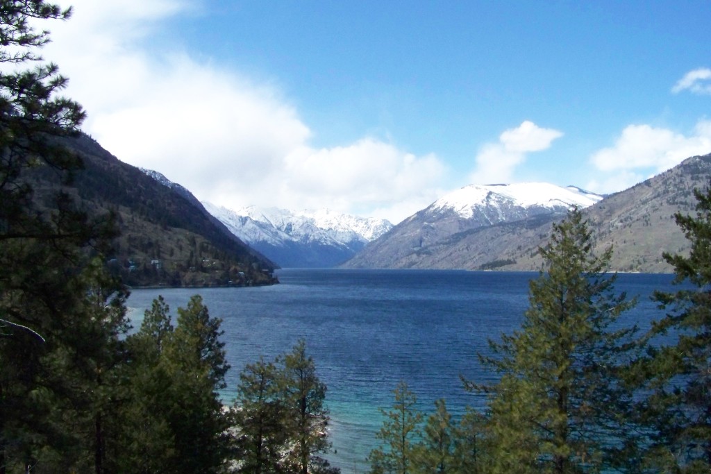 Lake Chelan viewed from the forested South Shore near Twenty-Five Mile Creek State Park, looking up-lake toward snow-capped mountains